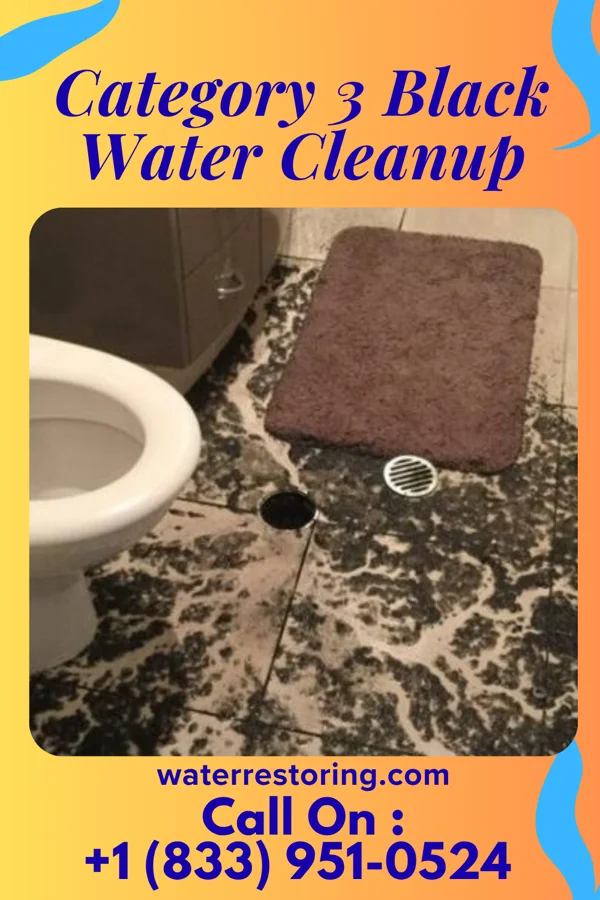 Category 3 Black Water Cleanup in West Hazleton, PA