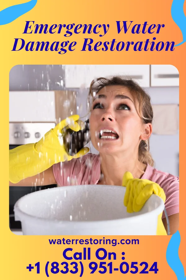 Emergency Water Damage Restoration in West Hazleton, PA