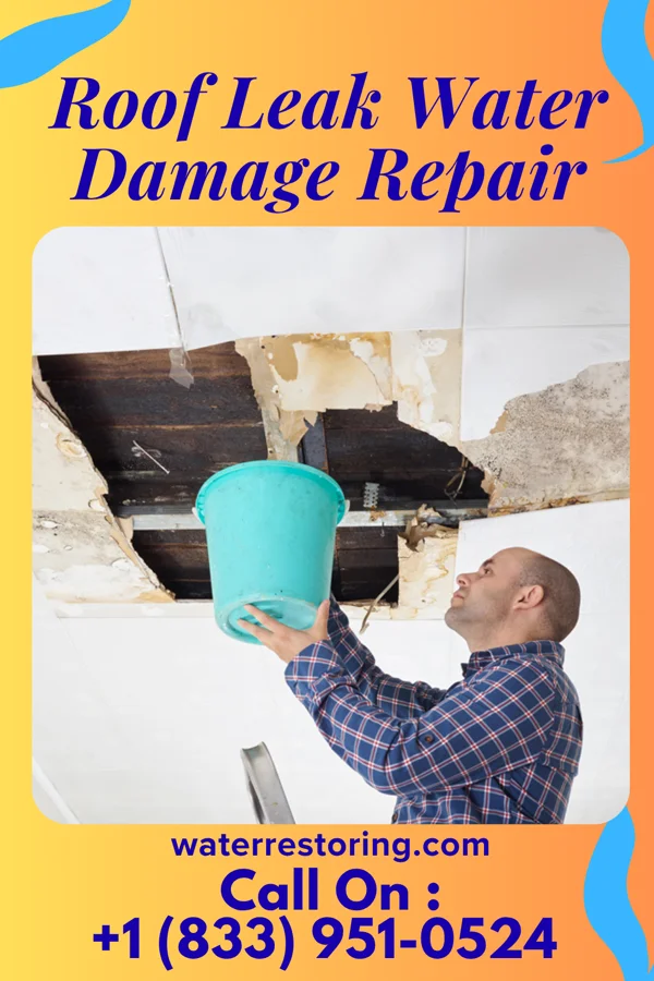 Roof Leak Water Damage Repair in West Hazleton, PA