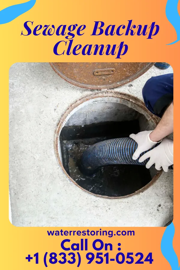 Sewage Backup Cleanup in West Hazleton, PA