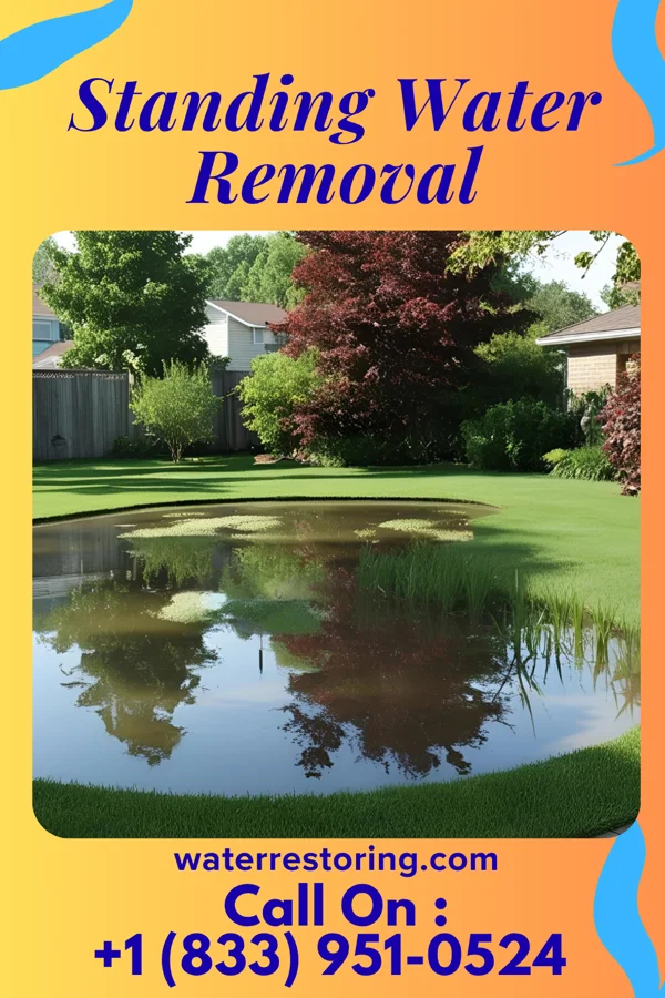 Standing Water Removal in West Hazleton, PA